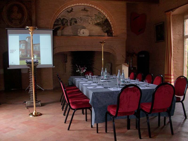 Château de Thegra_31130 BALMA_10